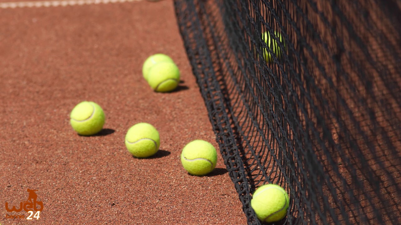 tennis balls in net